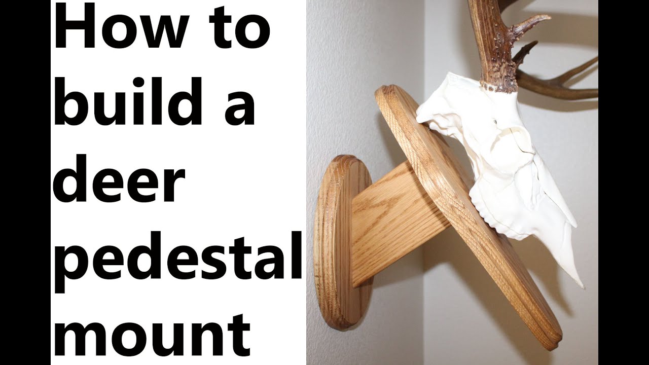 Watch us Build a Deer Wall Pedestal Mount