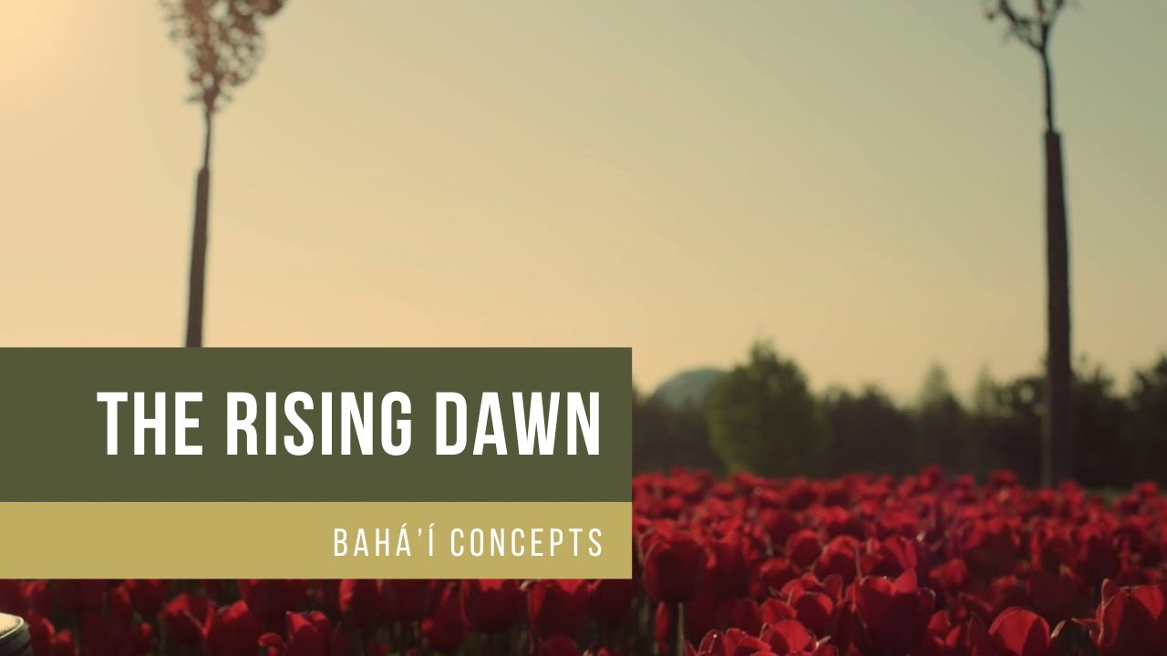 Vargha & Suno - The Rising Dawn