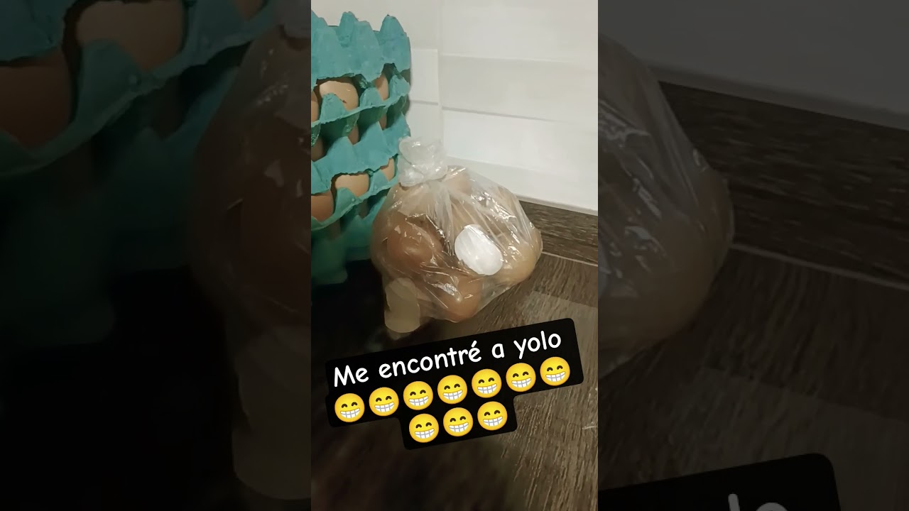 me encontré a yolo 🥚🥚🥚🥚🥚