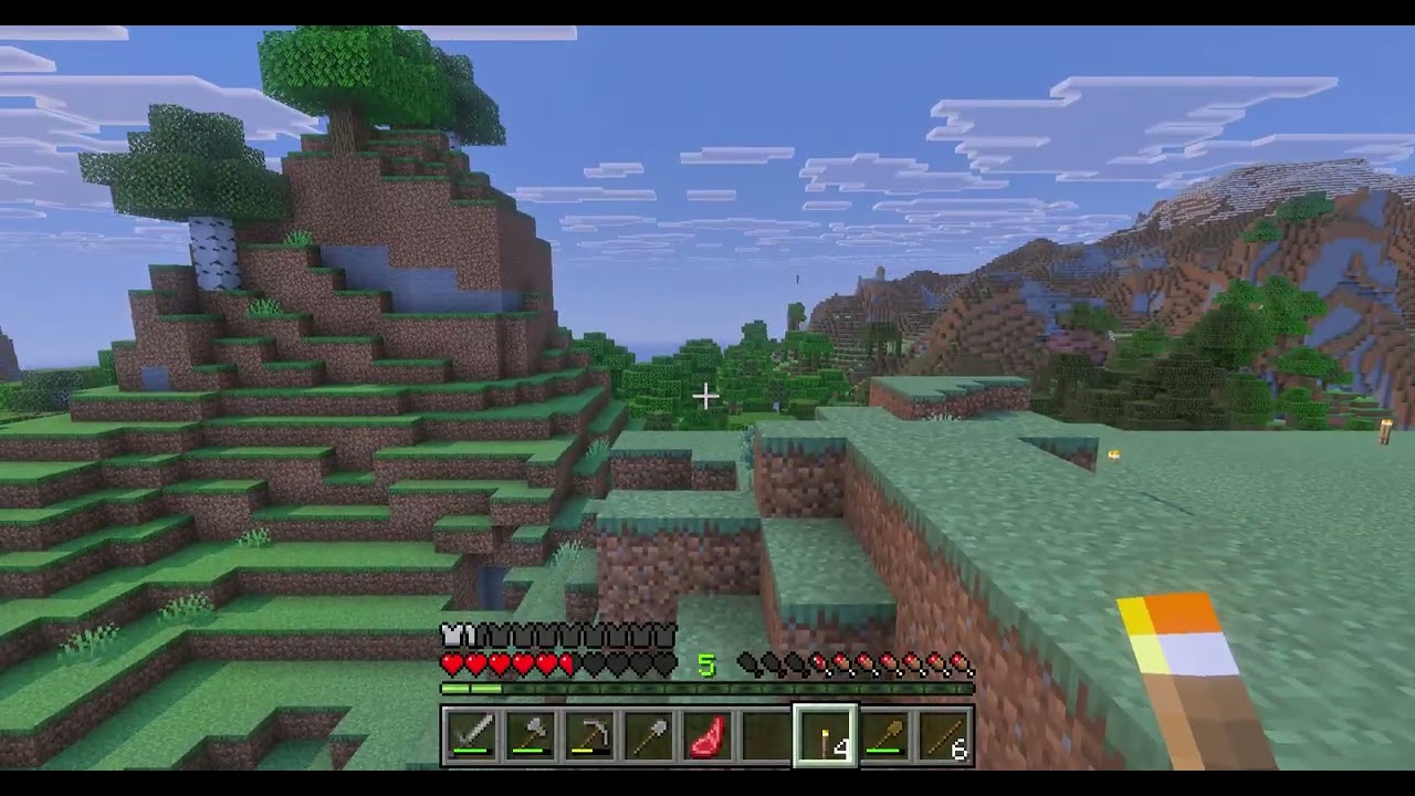 Minecraft with sushi boy