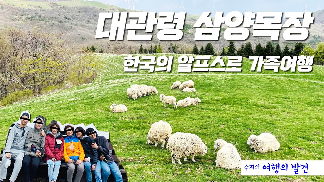 평창 대관령 삼양목장 - 한국의 알프스로 가족여행 다녀왔어요.