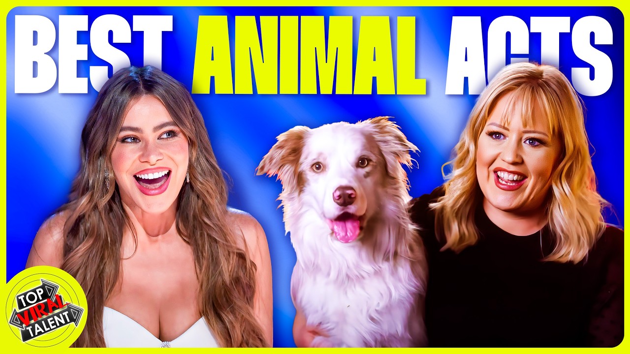 Top 20 Best Animal Acts on Got Talent