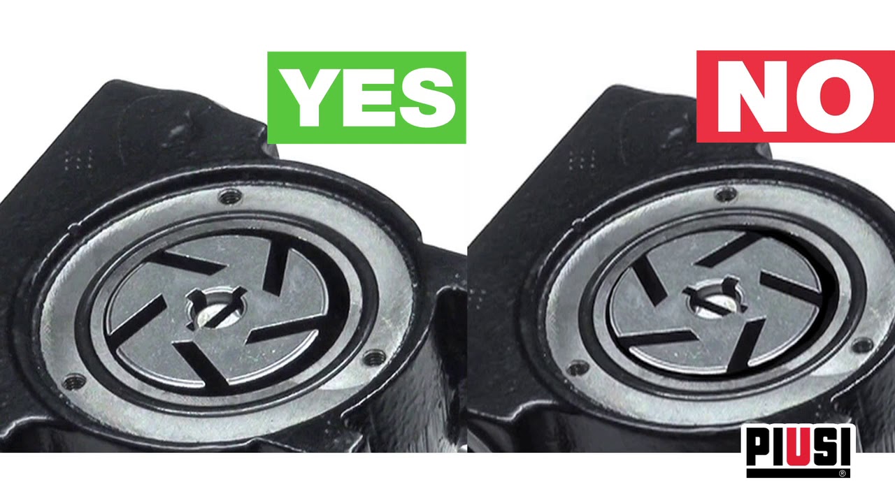 Piusi ByPass 2000   Vanes Replacement