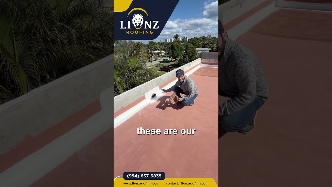 This Is What &ldquo;Watertight&rdquo; Really Looks Like 👀 #LionzRoofing