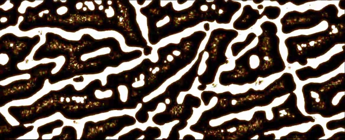 MEDITACION GAMMA CON OSCOY