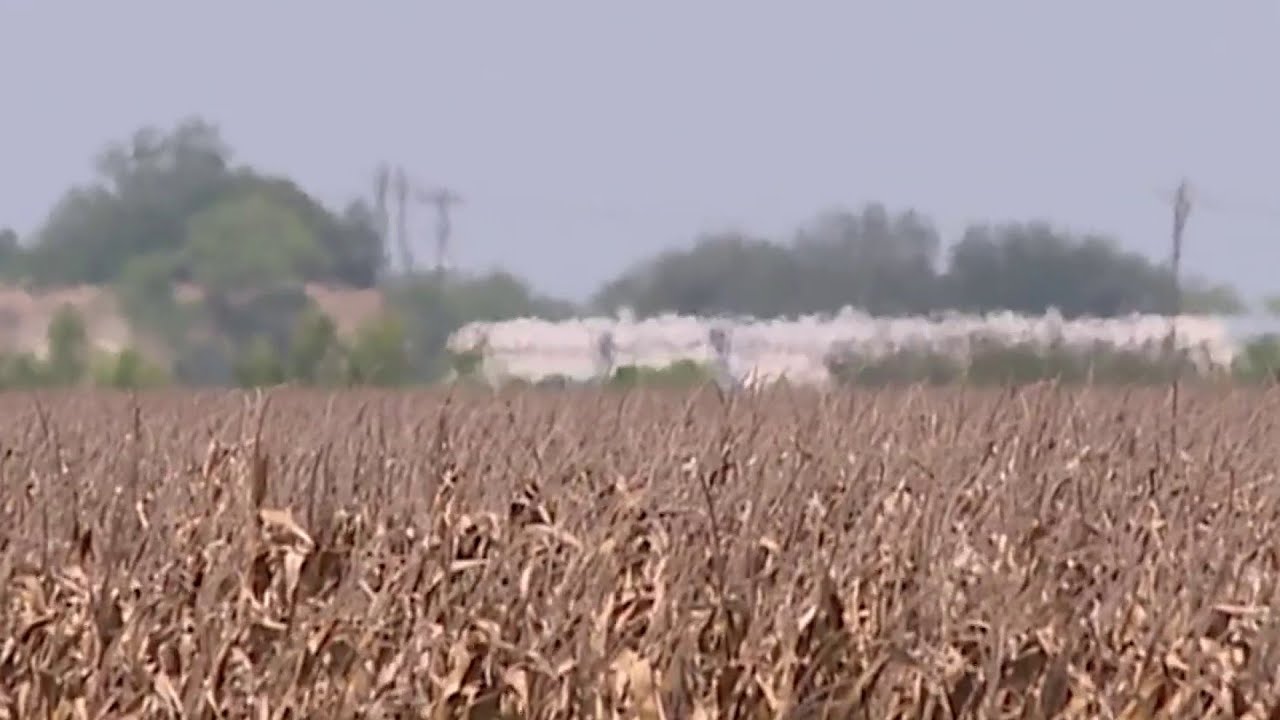 The impact of drought conditions in the Houston area