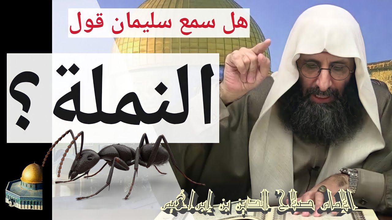 هل سمع سليمان عليه صلاة الله قول النملة؟ الإمام صلاح الدين بن إبراهيم