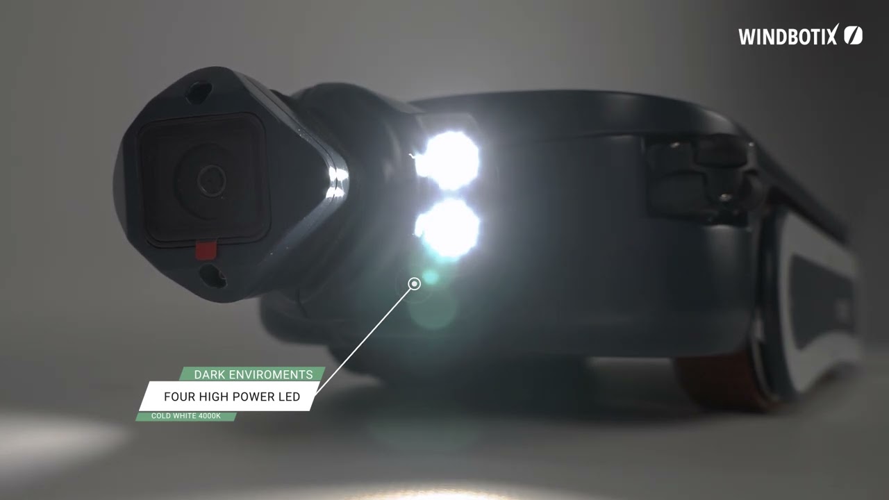 Nemo internal windblade inspection