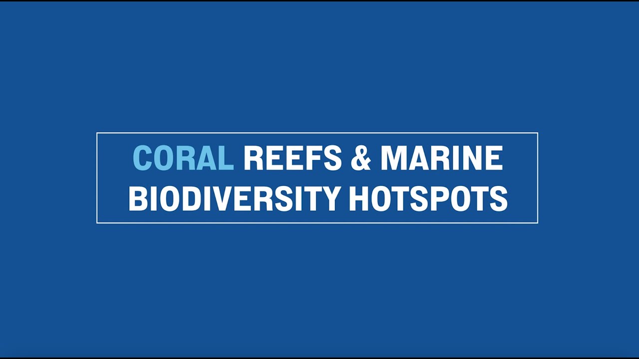 Coral Reefs and Marine Biodiversity Hotspots - ICRI Ask the Expert Series