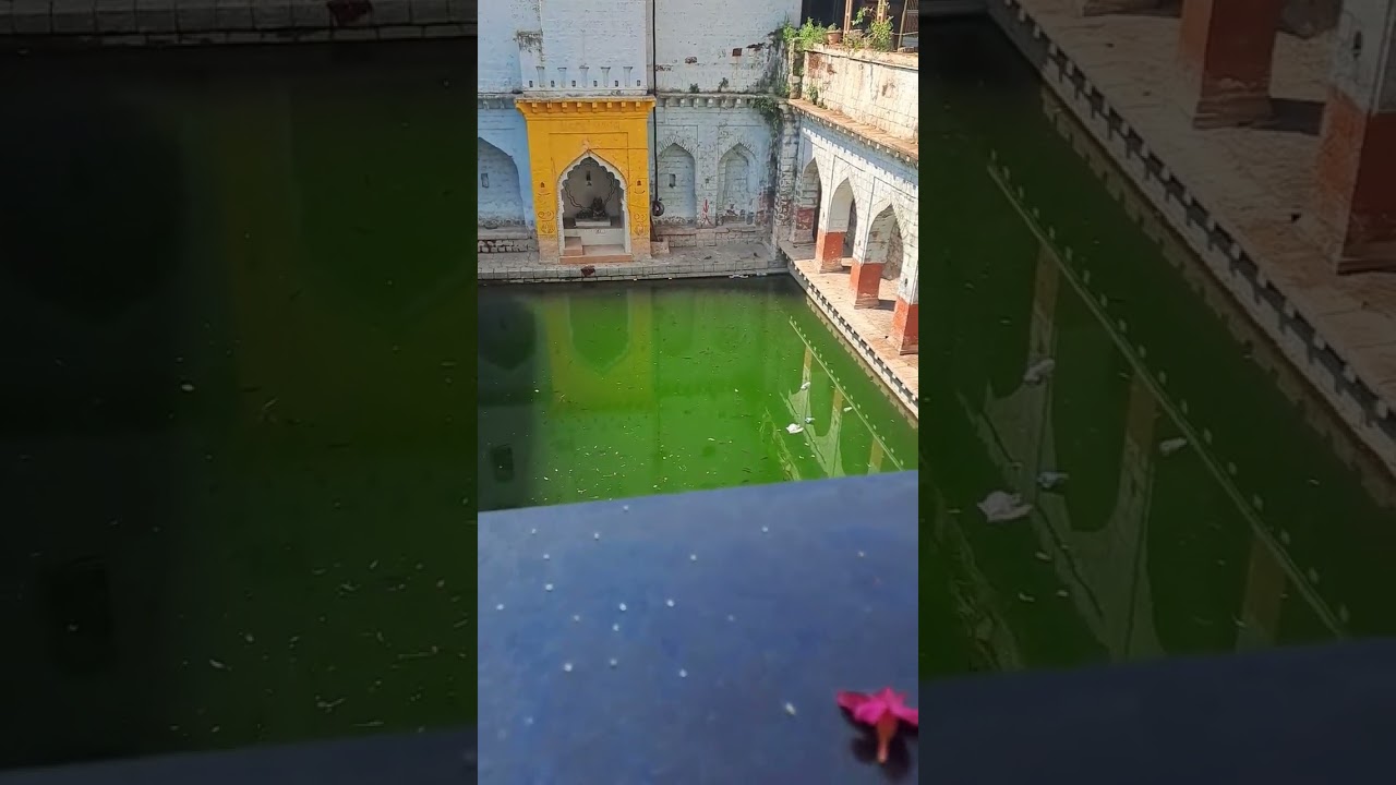 veer#bhadreshwar#temple🙏🏼🙏🏼😇#😍