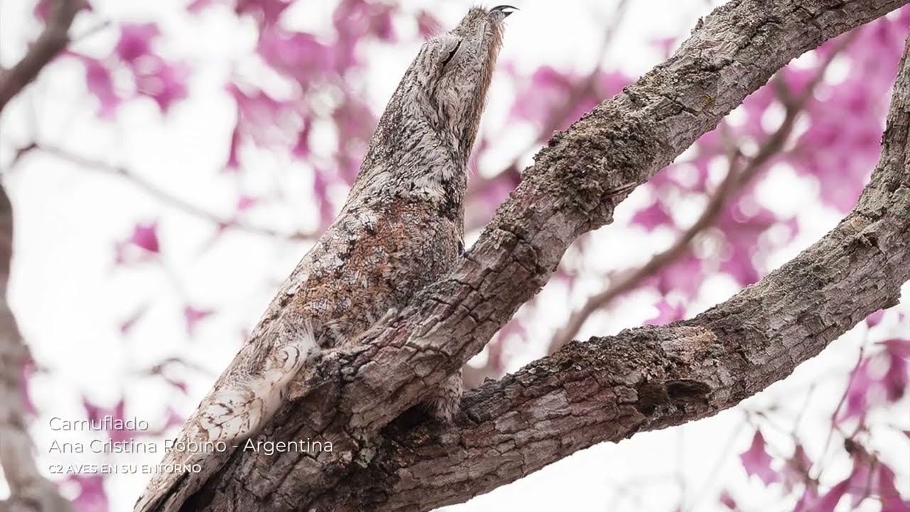 Concurso fotográfico FIO 2023