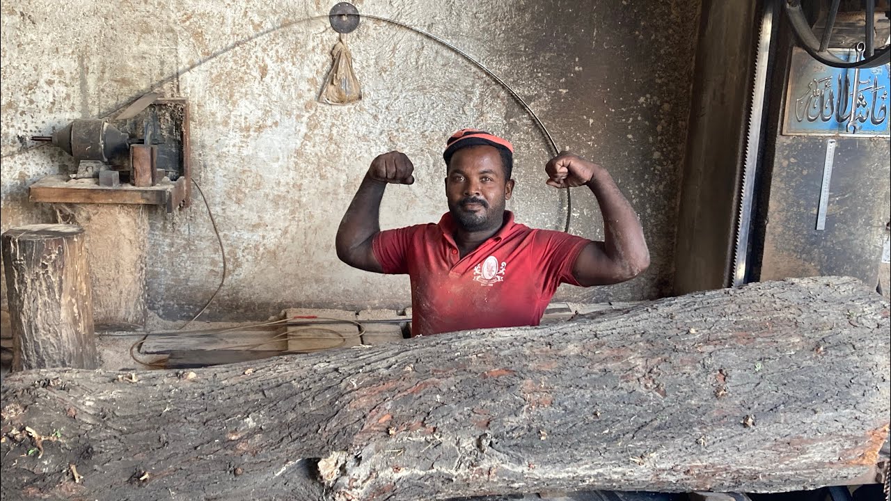 	“Unbelievable Power”! Man Cutting Hard Wood Can He Cut It? Man vs Keekar Wood Battle