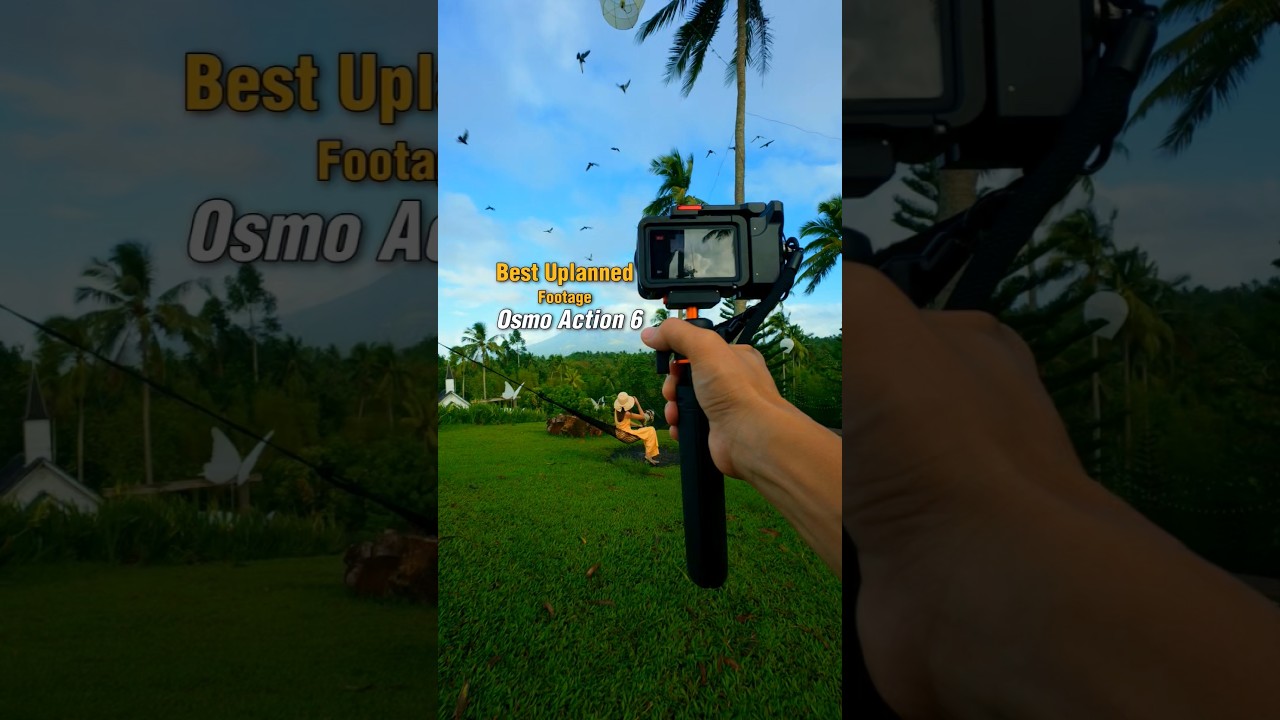 Proof that the best shots are unplanned. 