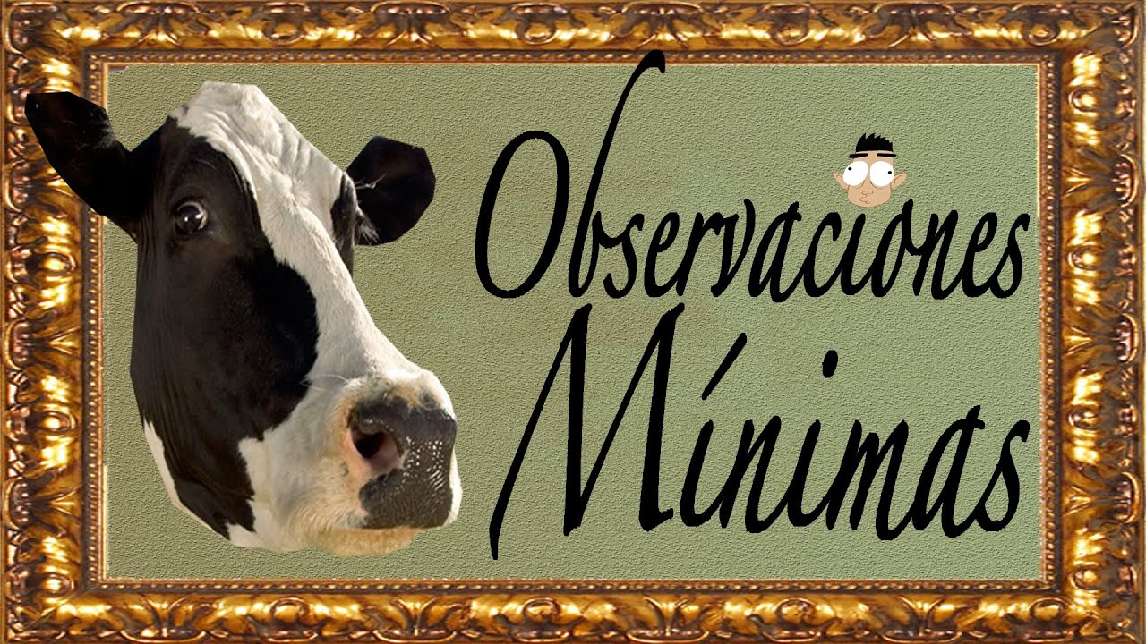 Observaciones Mínimas: Los envases de leche | David Suárez