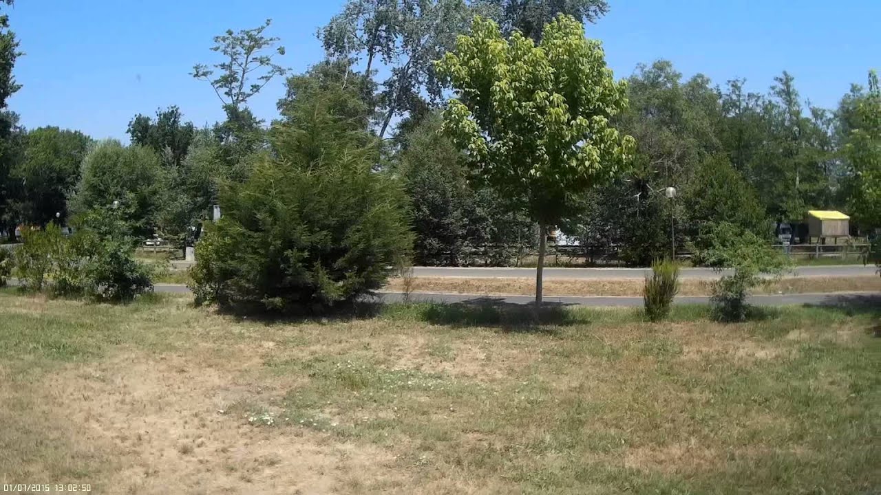 SAINTE EULALIE EN BORN AIRE (Aquitaine)