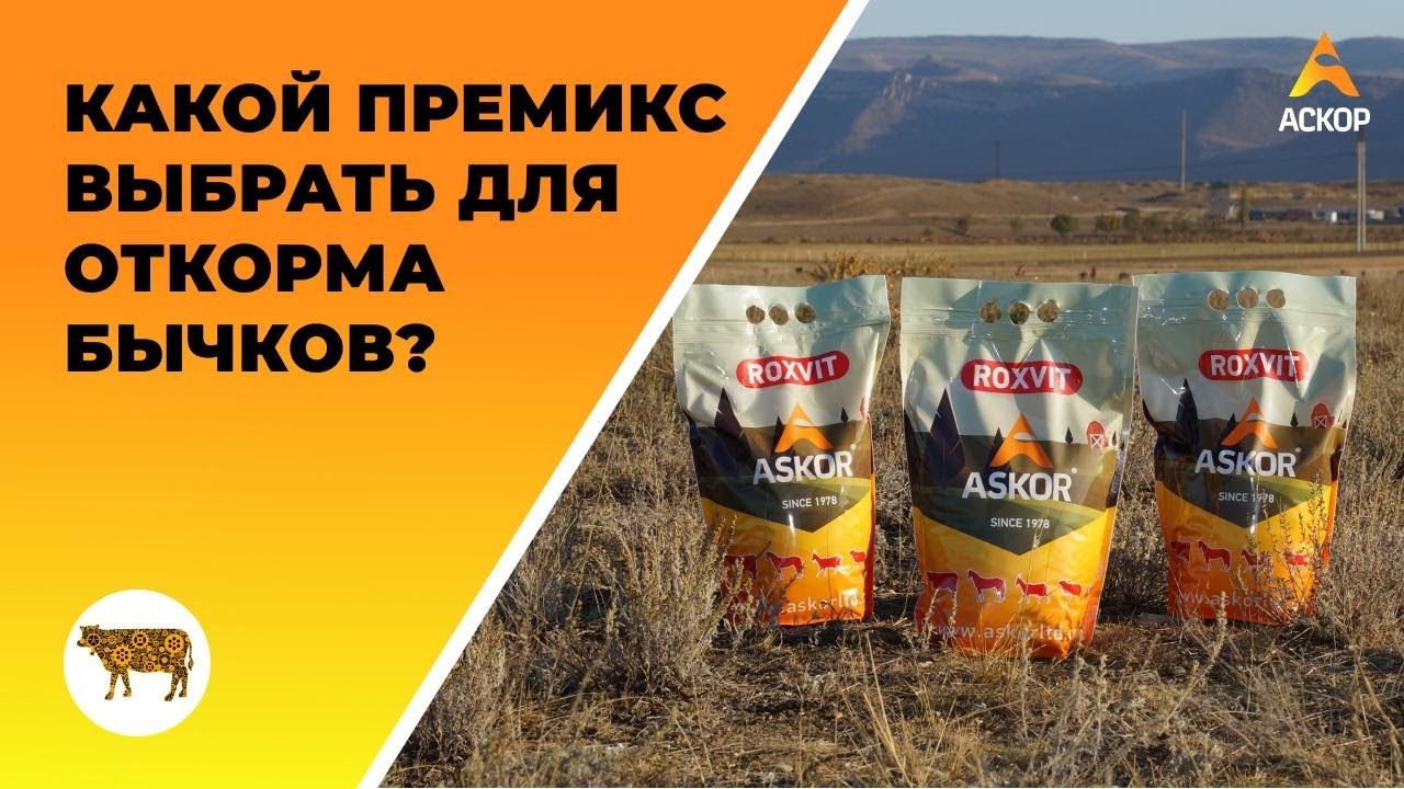 Какой хороший премикс для откорма бычков выбрать, чтоб увеличить привесы  и снизить затраты?