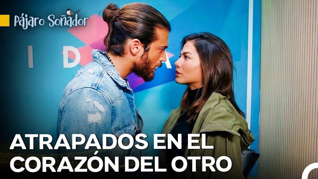 No Solo Se Quedó Atascado El Ascensor También Los Sentimientos - Pájaro Soñador