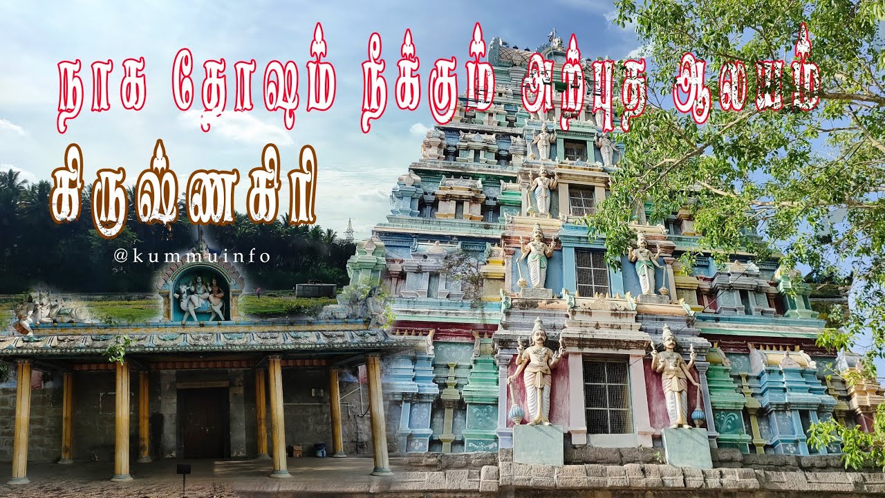 நாக தோஷம் நீக்கும் பெண்ணேஸ்வரர்  கோவில் | krishnagiri Penneswarar temple | @kummuinfo