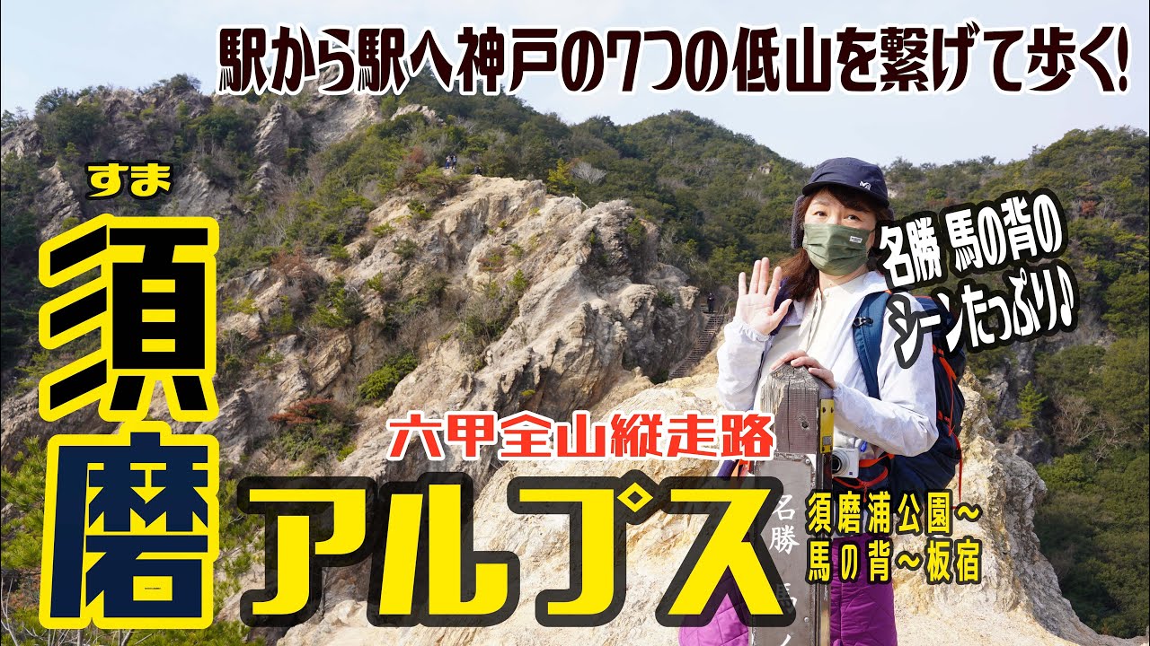 【登山】須磨アルプスという超人気トレイル✨天空の回廊、馬の背を震えて渡れ！ドキドキ関西遠征2024.2.10