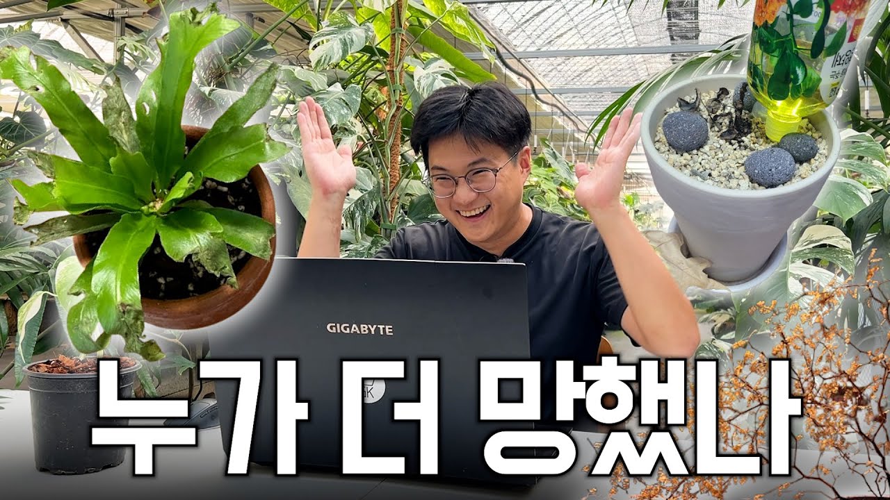 🎉제 1회 망한 식물 대회 발표합니다🎉 ㅣ 백 개 넘는 사연을 추리고 추려 하이라이트만 보여드립니다