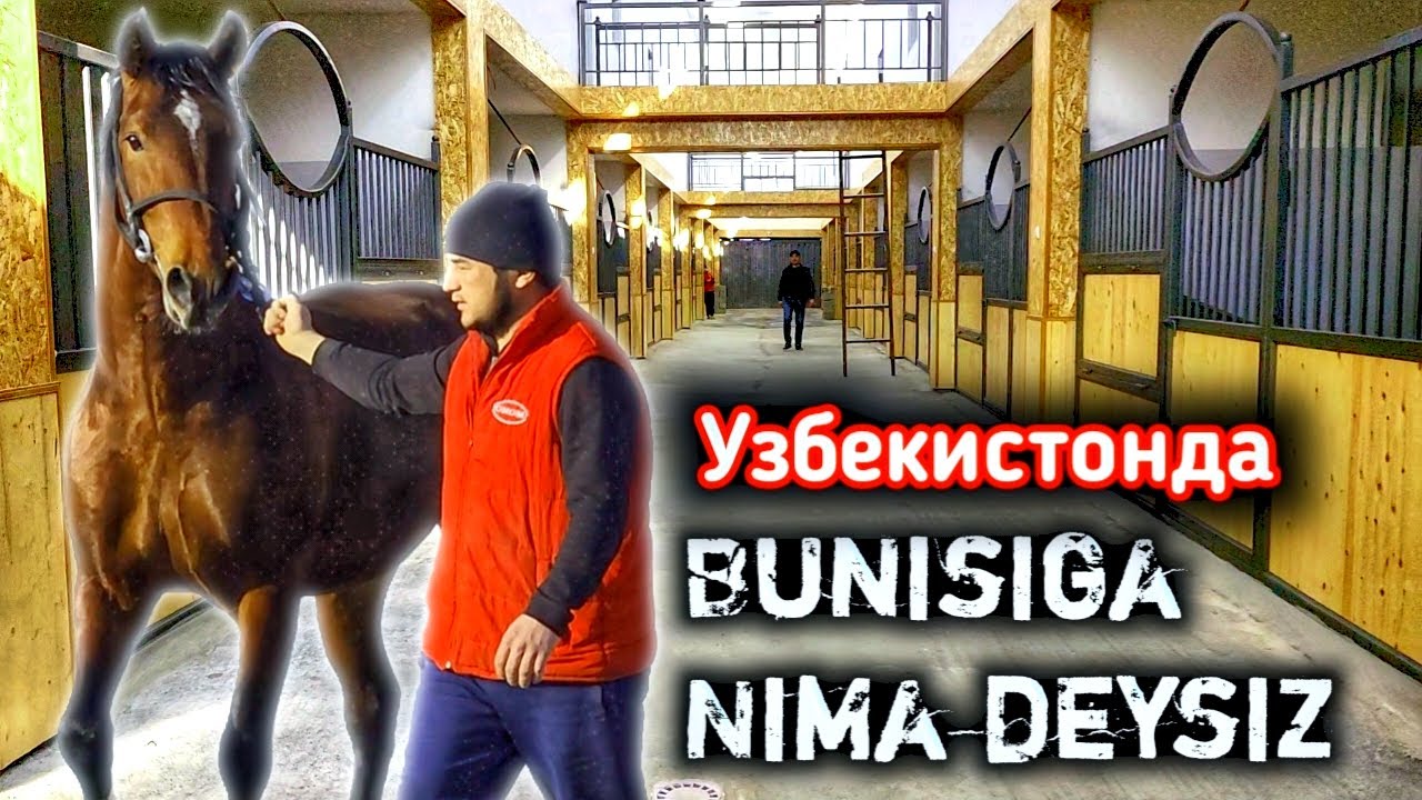 ОТХОНАМИСАН ОТХОНА ЭКАН.. БУНАКАСИ КАМ. OTGA MEHRI BORLAR UCHUN..(OT)(Mus Tv)