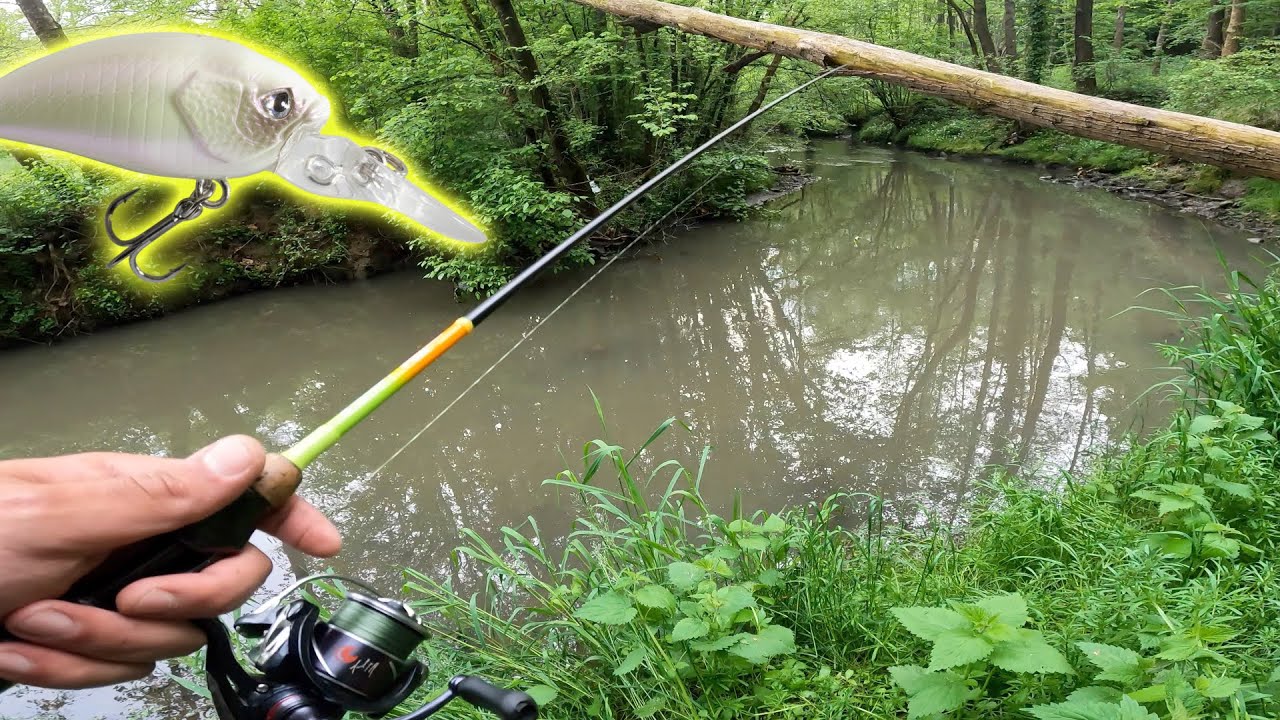 NEL POSTO GIUSTO AL MOMENTO GIUSTO! Catture a raffica - Pesca a Spinning ultralight in torrente