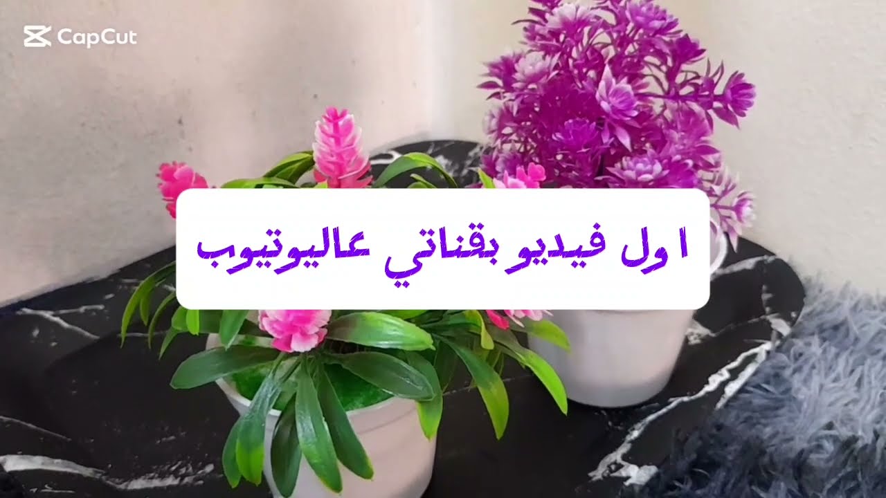 روتين يومي من الصباح 🌦للمساء🌸 اطيب اكلة سبانخ 👍🏻🎀
