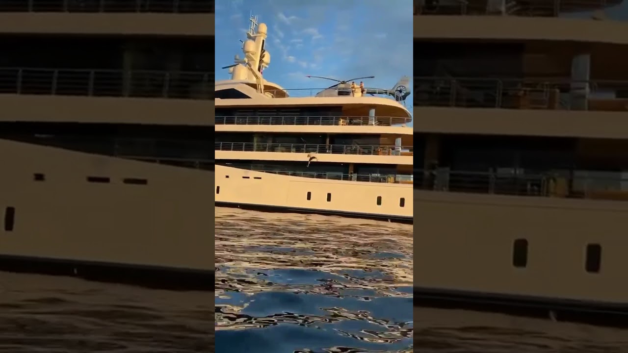 Idiot BILLIONAIRE !!!|The world's most expensive rope swing?|VIRAL VEDIO|FUNNY 😬