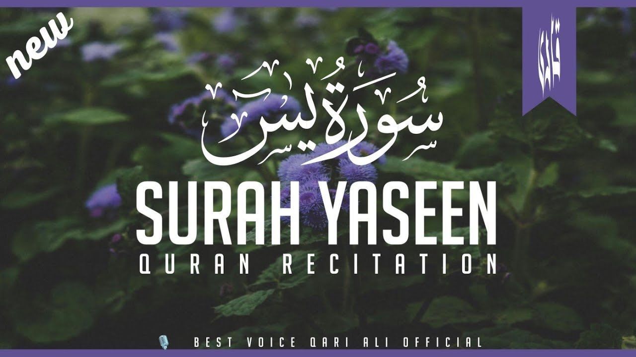 Beautiful Quran recitation of Surah Yaseen (Yasin) سورۃ یس | with urdu translation full 