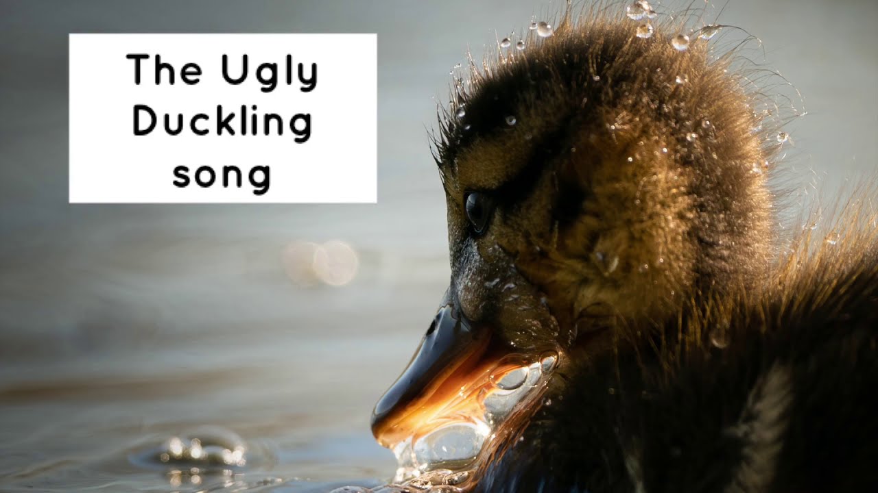 The Ugly Duckling (song)