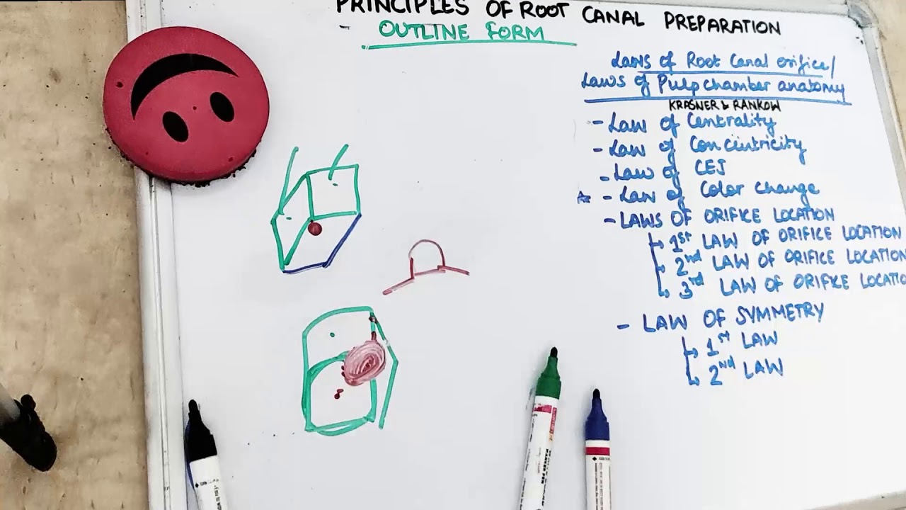 principles of root canal preparation (Laws of pulp chamber anatomy)