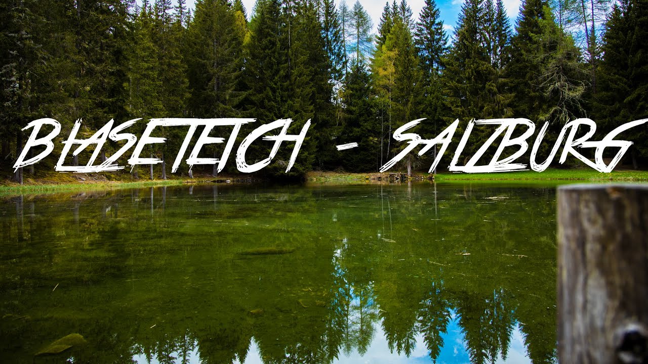 Blaseteich in Salzburg - Endlich wieder raus!