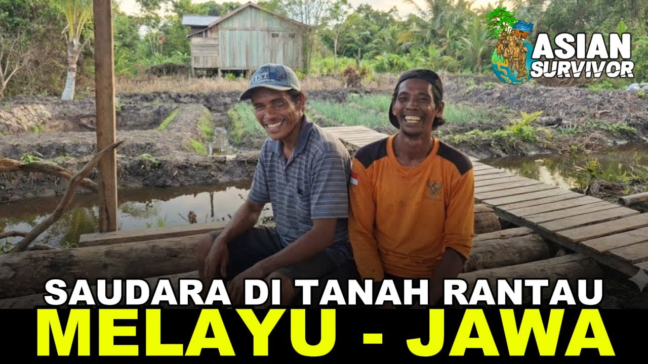 IKAN MAS, NILA DAN PATIN, AMANAH DARI ROTERDAM, BELANDA  DI KOLAM PAK SUDIWANI & PAK EKO