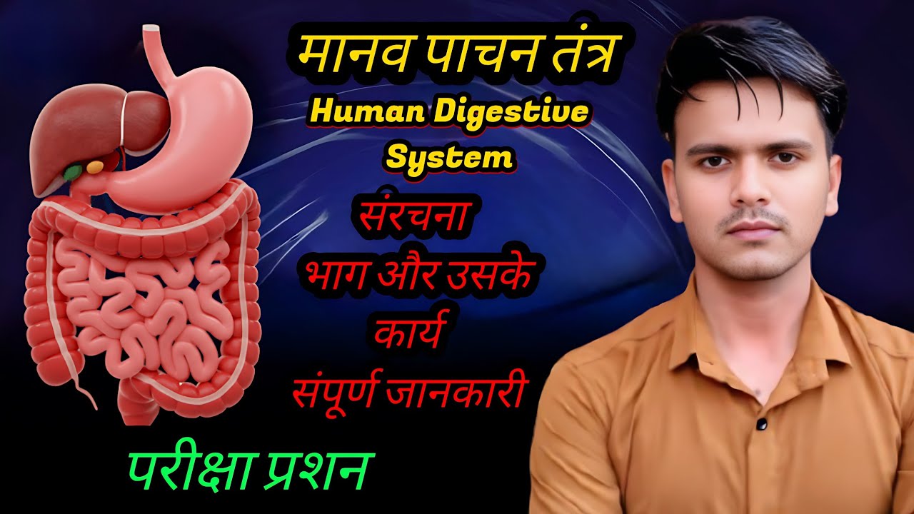 पाचन तंत्र क्या है? संरचना, कार्य और अंग | Complete Digestive System in Hindi by Alok sir