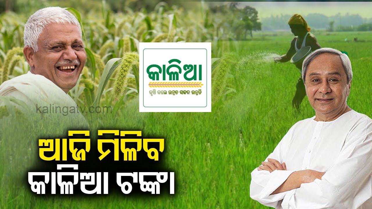 KALIA Yojana amount to be deposited directly to bank accounts today || KalingaTV