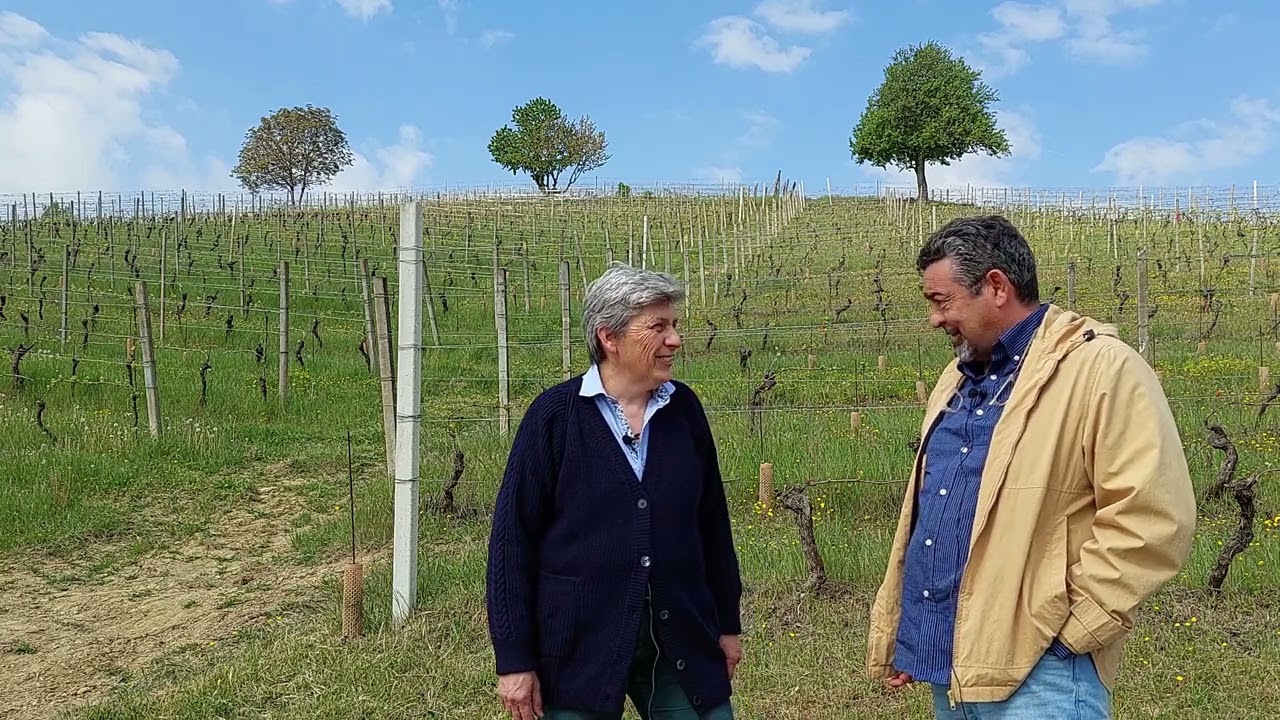 Dacapo, Piemonte: Slow Wine 2023