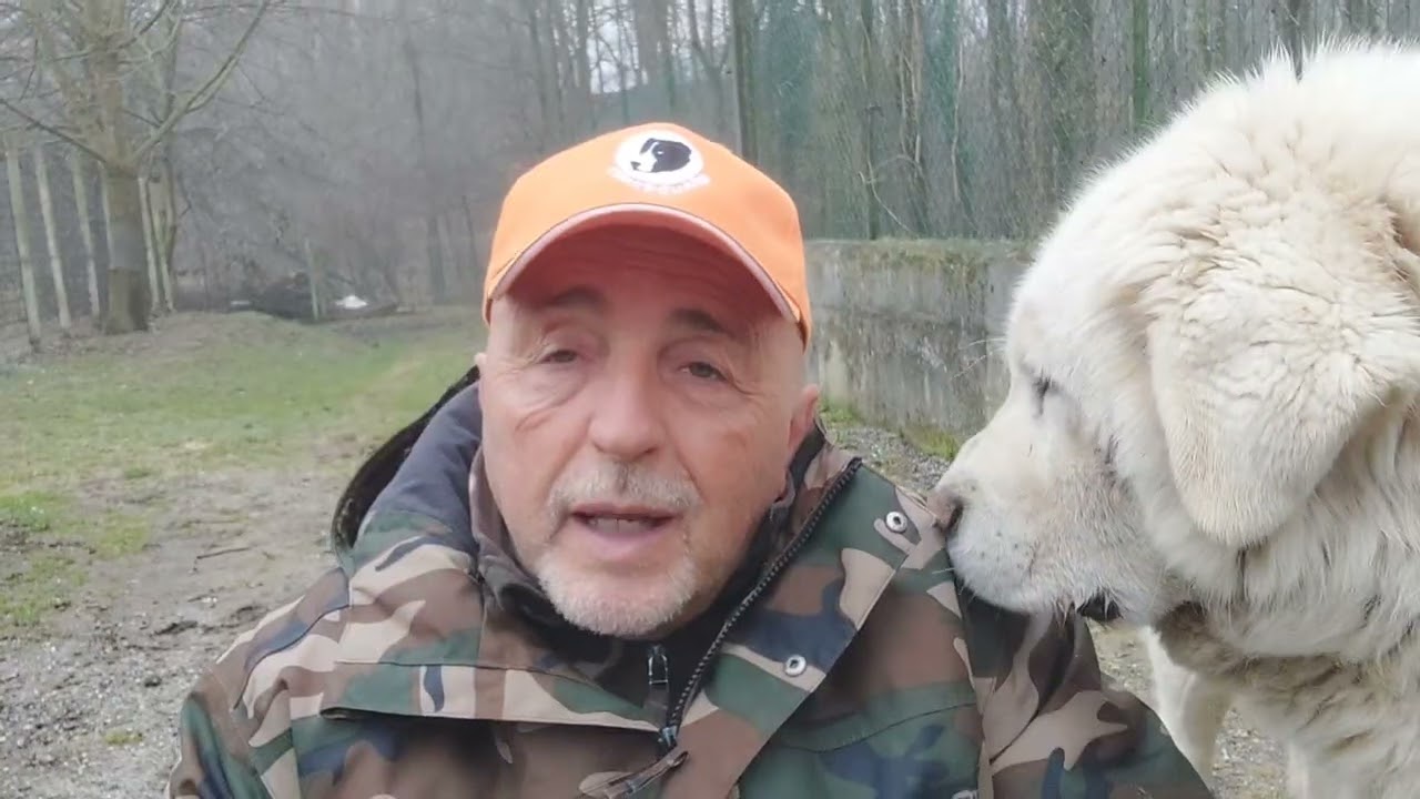  (4 di 8) - L'aggressività del cane È MOLTO IMPORTANTE per il suo equibrio di animale! 