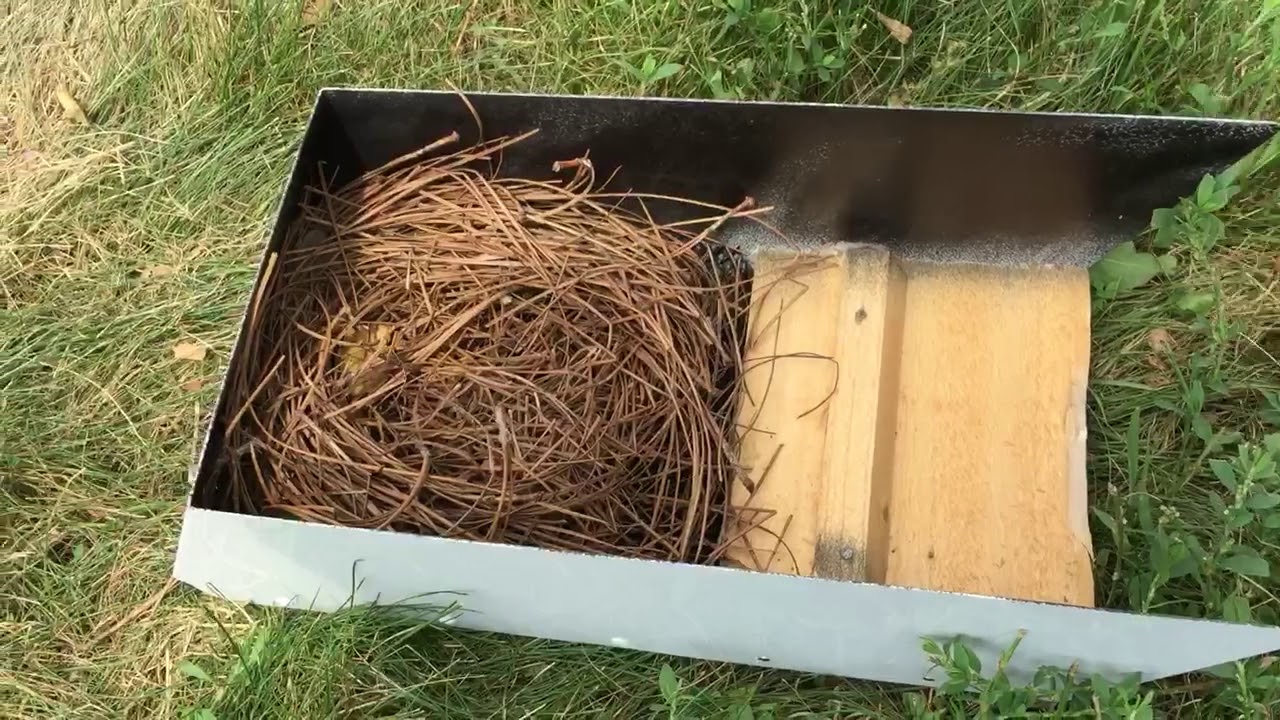 ChirpyNest Purple Martin house and t14 nest change