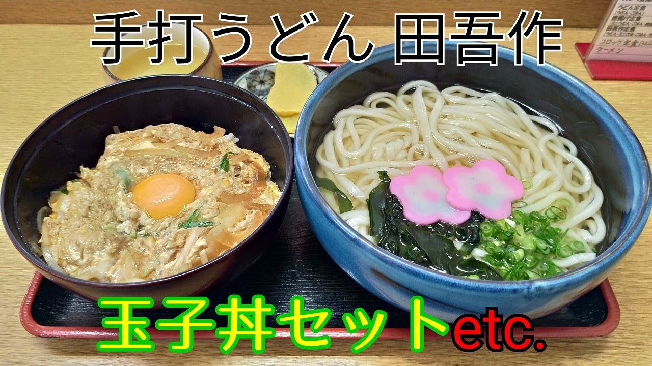 高知県香南市野市町西野、“手打うどん 田吾作”でお昼ごはん #289