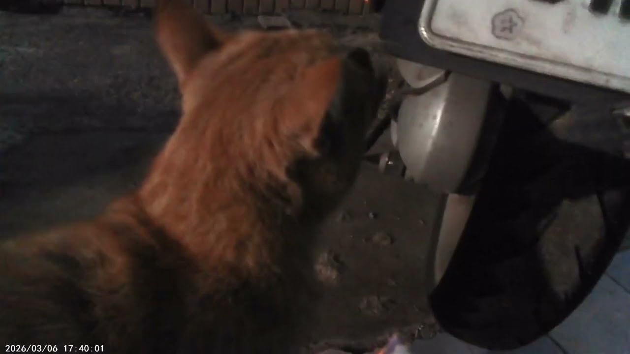 開始親人，不要路倒啦