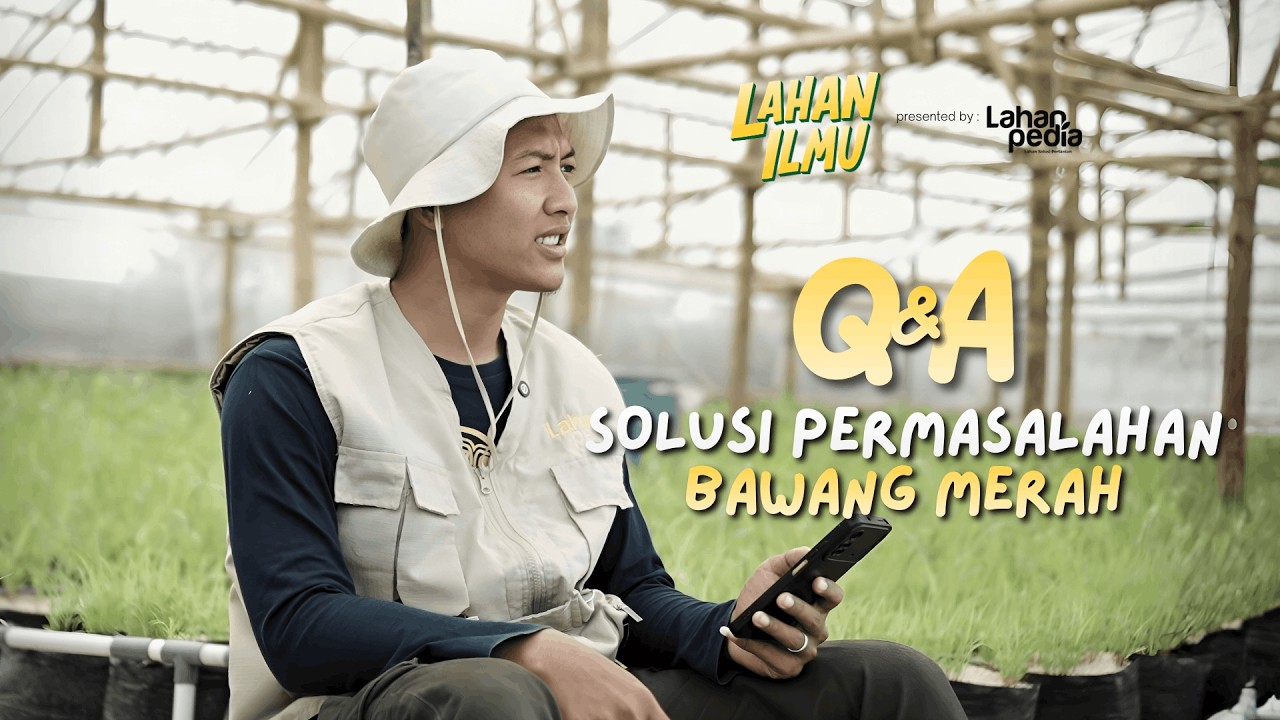 MENJAWAB PERTANYAAN SOBAT LAHAN | PUPUK UNTUK MENGATASI BOLER PADA BAWANG MERAH #petanibawangmerah