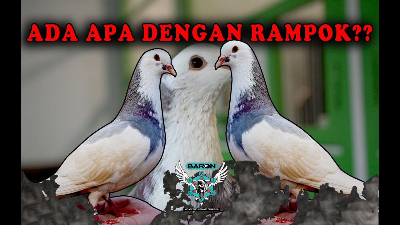 PERKEMBANGAN KONDISI RAMPOK TERKINI