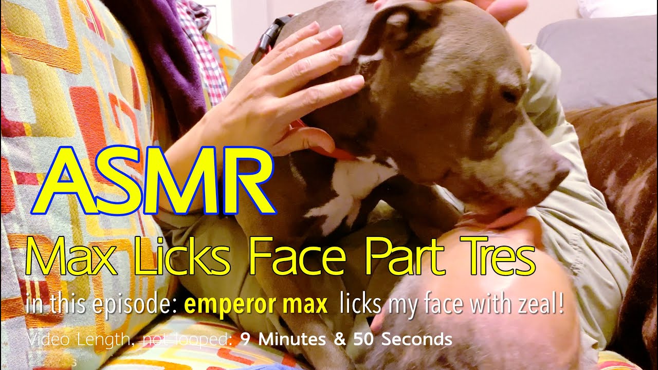 Max Licks | Face Part Tres | ASMR DOG LICKING | No Talking