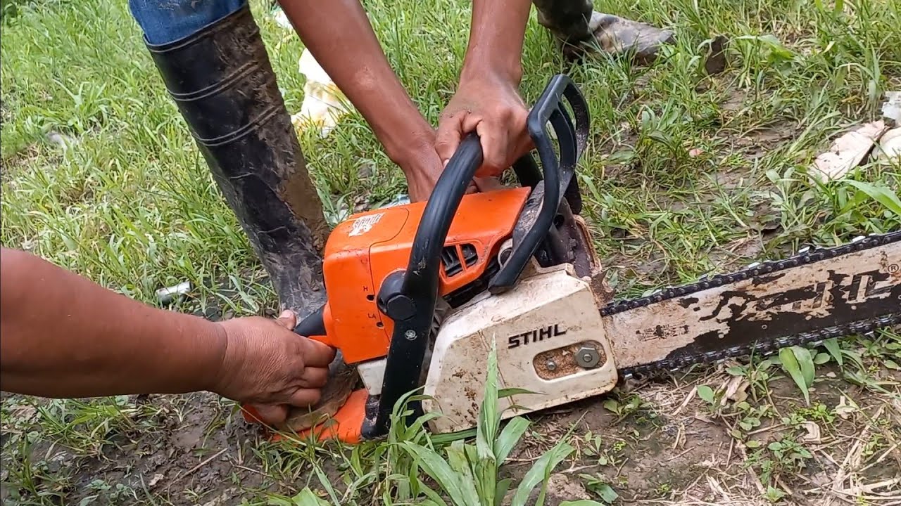 STHILL MS250 - motosierra *Árbol de Aguacate* / Loren15YT