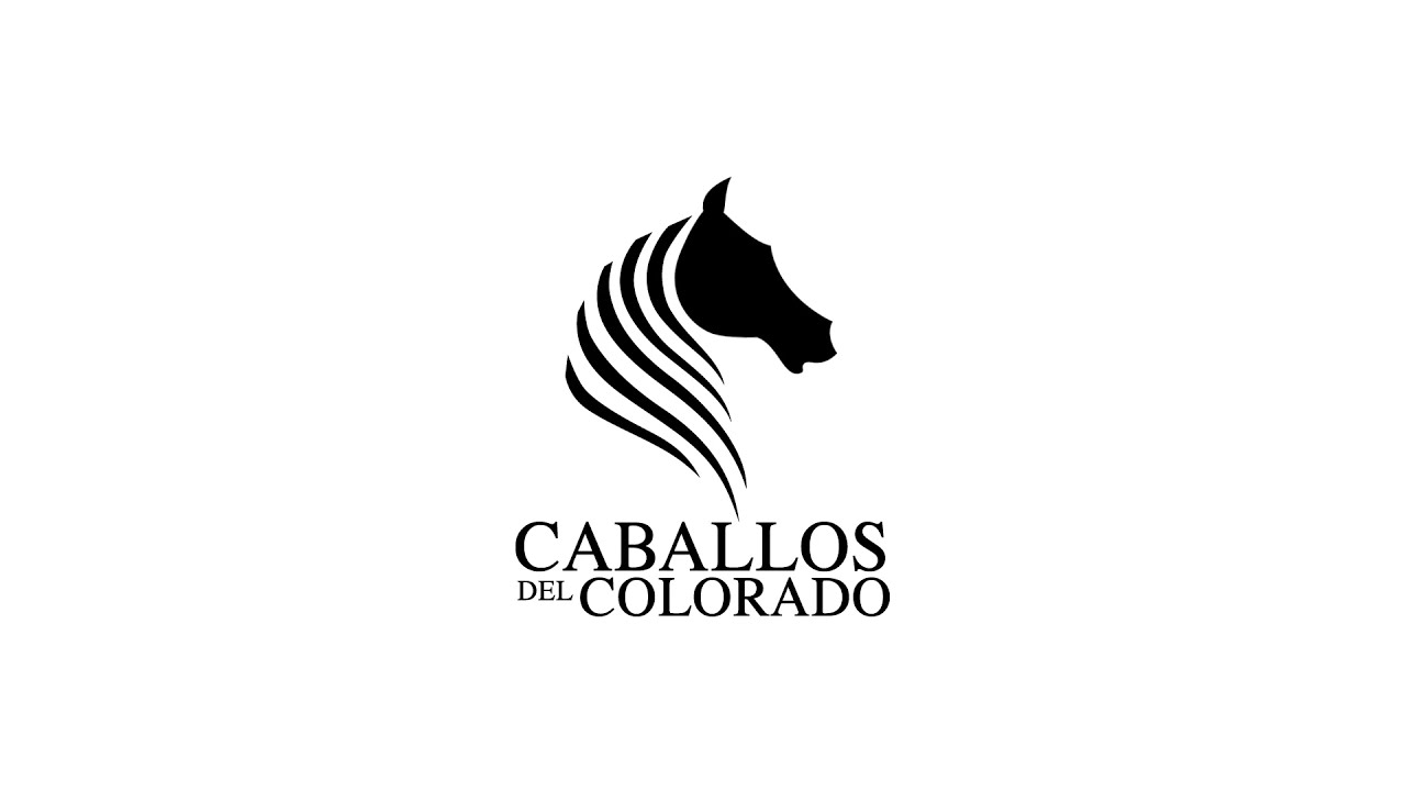 CABALLOS BAILADORES - RANCHO RIVERA DEL COLORADO