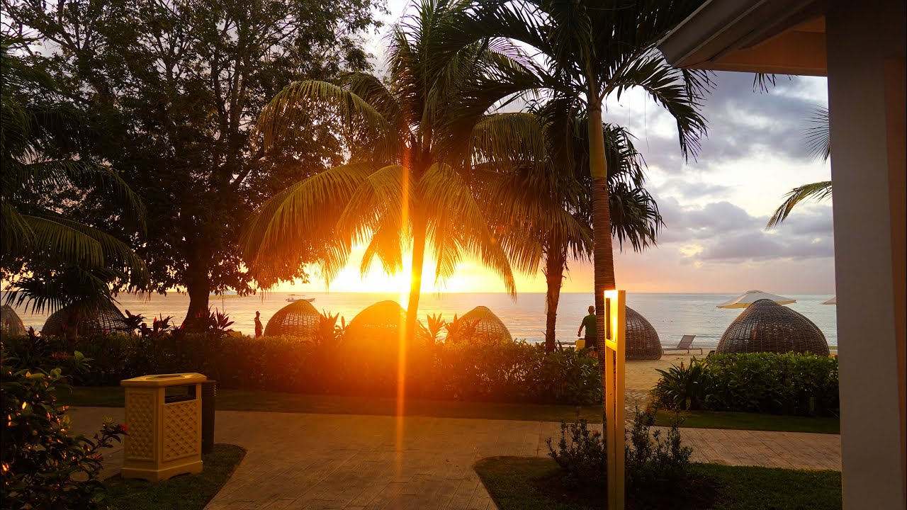 Jamaica 2024, D'Oyen's Birthday