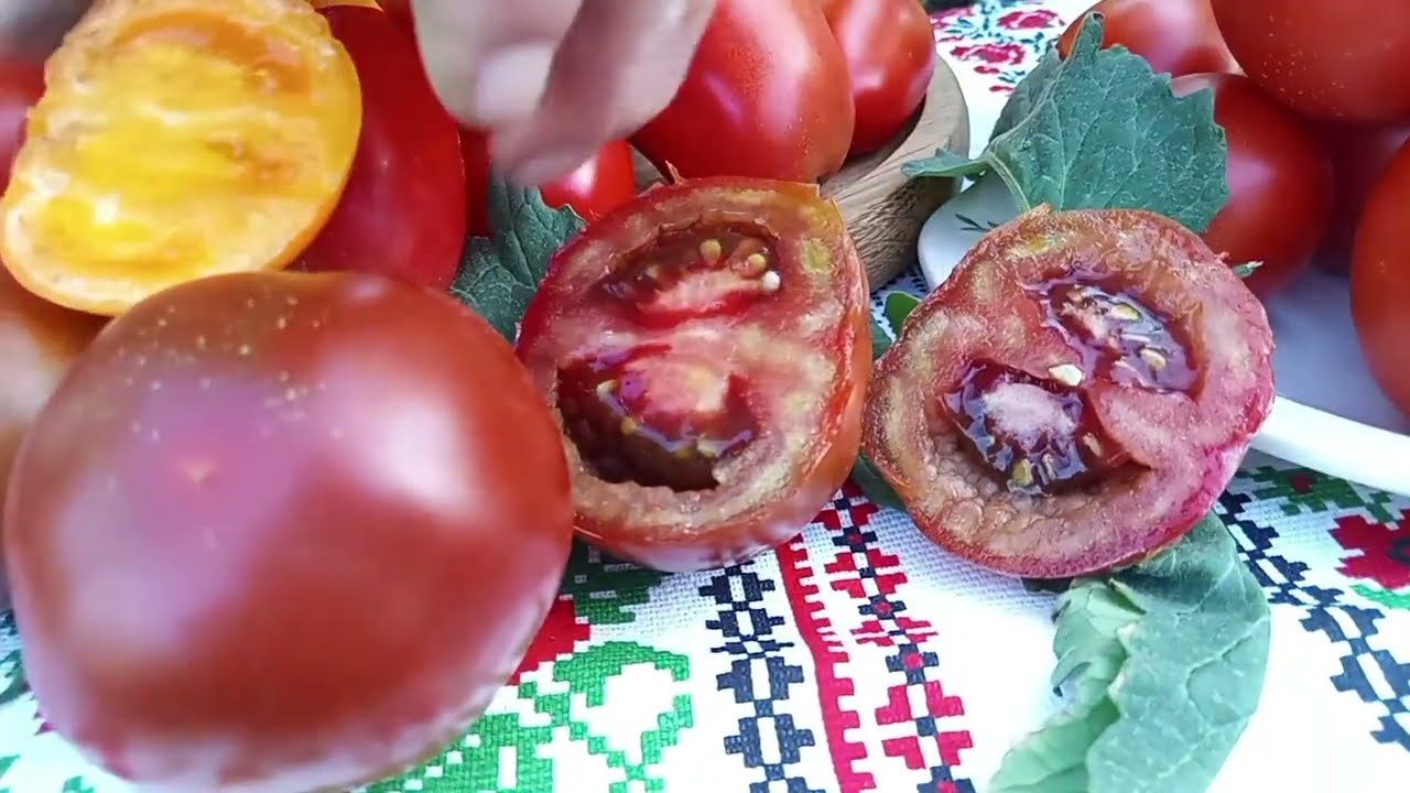 Ce te împiedică să cultivi roșii perfecte?
