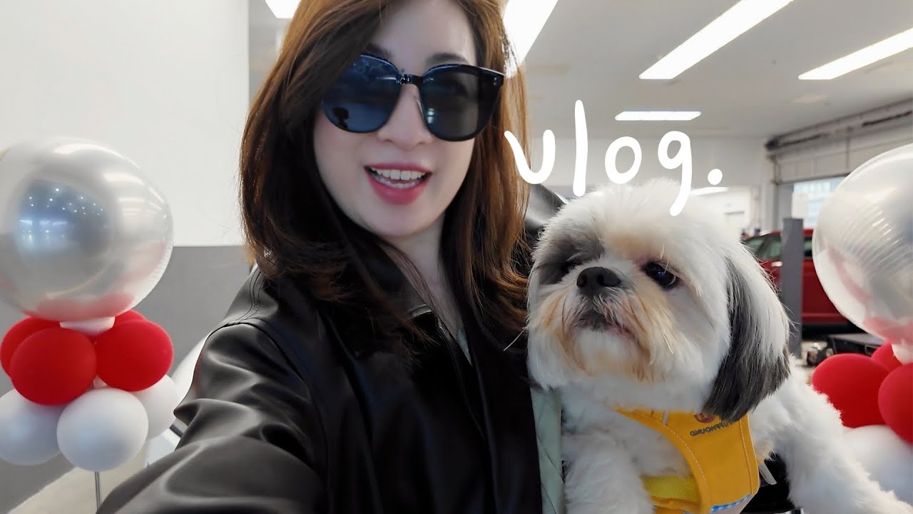 VLOG. 35岁，终于拥有了自己的第一台车🚗一起装修特斯拉毛坯房，在南宁可以每天都吃不一样的粉诶！[ 裸辞后在南宁躺不平日常 ep.1 ]
