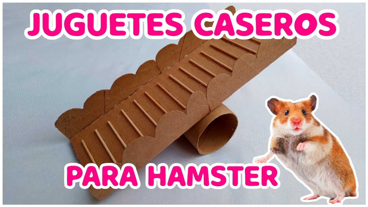 JUGUETES PARA HAMSTER