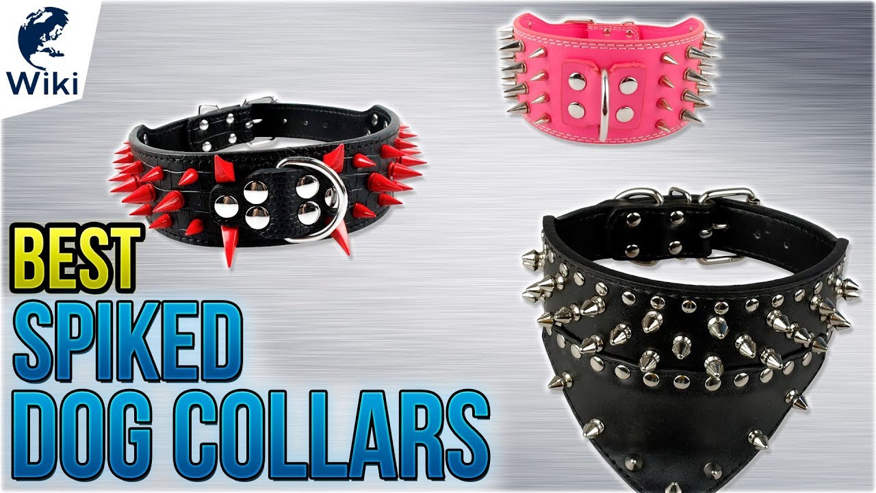 10 Best Spiked Dog Collars 2018